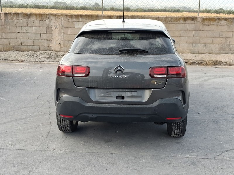 citroën c4 cactus del año 2019