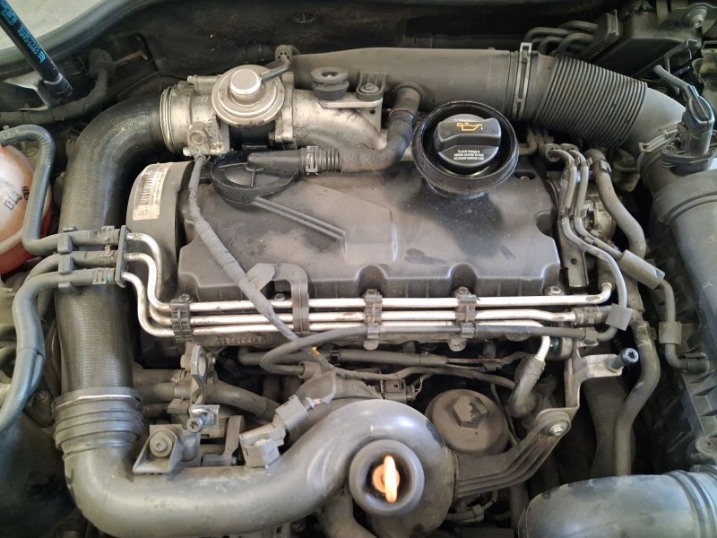 Recambio de motor completo para volkswagen golf v (1k1) 1.9 tdi referencia OEM IAM BKC 03G100098V 