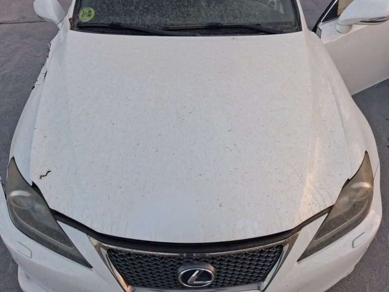 Recambio de capot para lexus is ii (_e2_) 200d (ale20_) referencia OEM IAM 5330153030  
