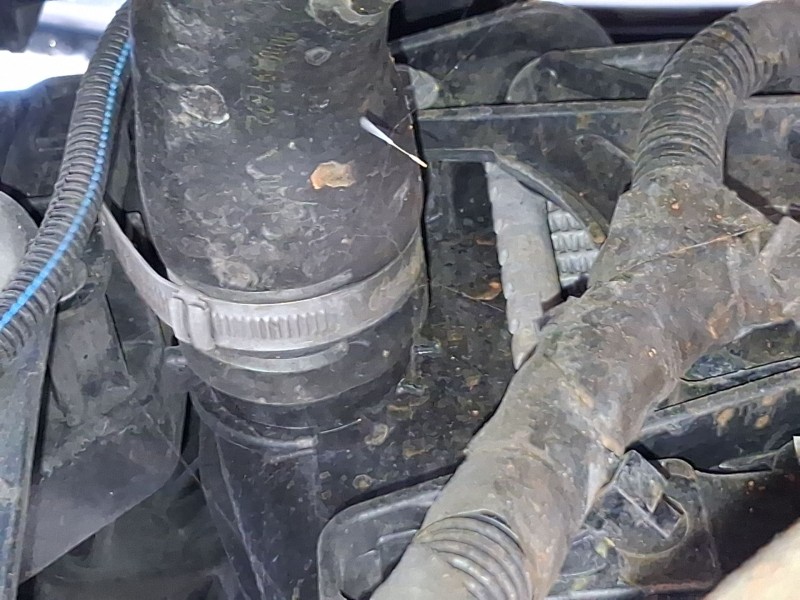 Recambio de radiador agua para fiat tipo station wagon (356_, 357_) 1.4 (356wxf1b) referencia OEM IAM 52052220  