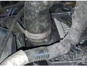 Recambio de radiador agua para fiat tipo station wagon (356_, 357_) 1.4 lpg (356wxf1b) referencia OEM IAM 52052220  