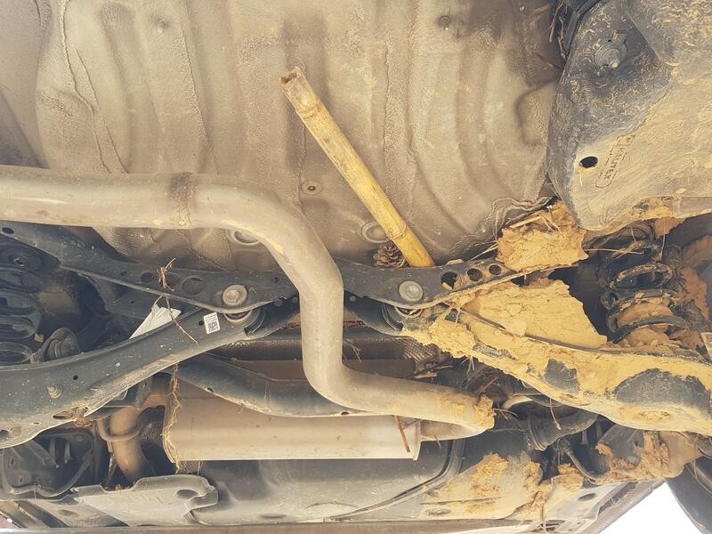 Recambio de puente trasero para volkswagen touran (5t1) 1.6 tdi referencia OEM IAM 5QA505315B DISCO C/ ABS Y 5 TORNILLOS 