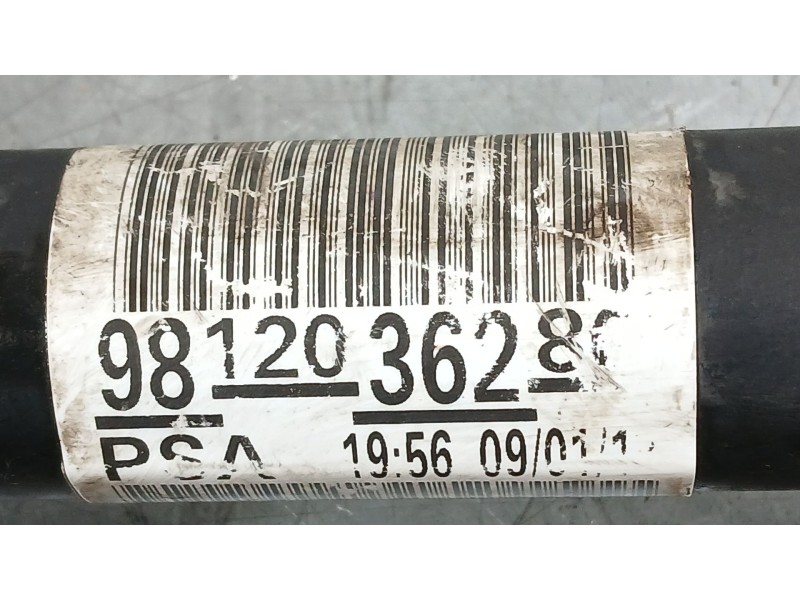 Recambio de transmision delantera izquierda para citroën c-elysee (dd_) 1.6 bluehdi 100 referencia OEM IAM 9812036280 1613396280