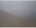 Recambio de elevalunas delantero derecho para renault clio v (b7_) 1.0 tce 100 (b7mt) referencia OEM IAM 807201776R  