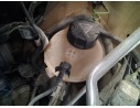 Recambio de deposito expansion para citroën berlingo (er_, ec_) 1.5 bluehdi 100 referencia OEM IAM 9678126080  