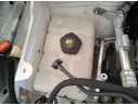 Recambio de deposito expansion para renault kangoo iii furgoneta/monovolumen 1.5 blue dci 95 (fjab) referencia OEM IAM 217108467