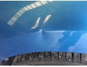 Recambio de aleta delantera izquierda para hyundai i30 fastback (pde, pden) 1.0 t-gdi referencia OEM IAM 66311G3000 66310G3000 