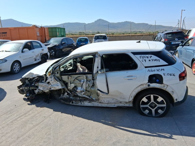 citroën c4 cactus del año 2019