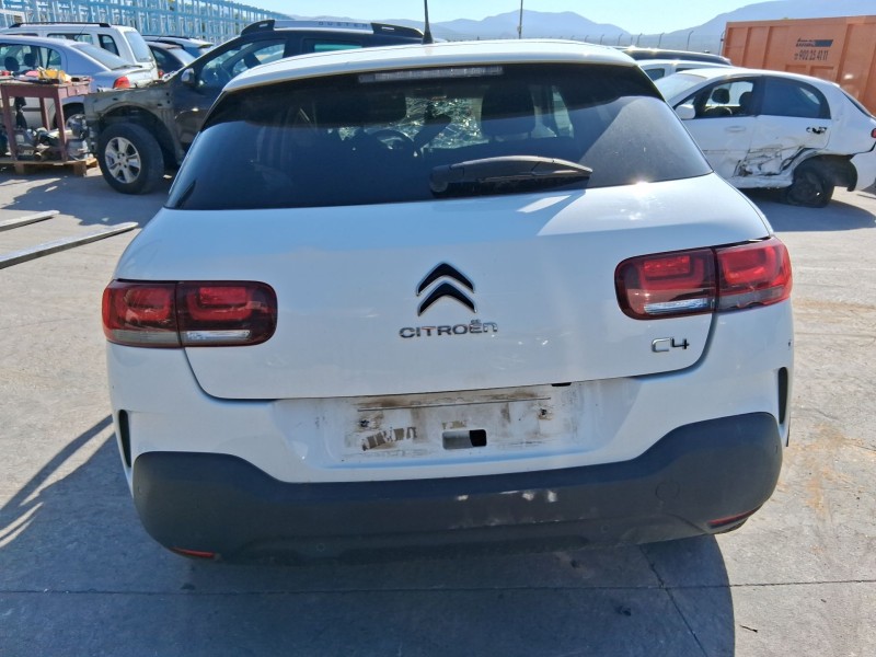 citroën c4 cactus del año 2019