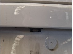 CAMARA VISION TRASERA 3Q0980121AA 