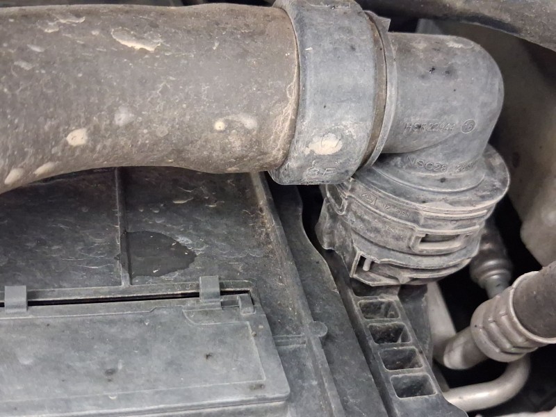 Recambio de radiador agua para peugeot 3008 ii suv (mc_, mr_, mj_, m4_) 1.6 bluehdi 100 referencia OEM IAM 9809141780  