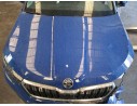 Recambio de capot para skoda kamiq (nw4) 1.0 tsi referencia OEM IAM 658823031A  