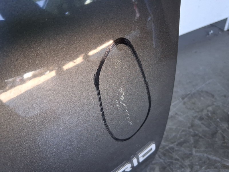 Recambio de porton trasero para fiat 500 (312_) 1.0 mild hybrid (312.ayd1b) referencia OEM IAM 52056197 ROZADO 