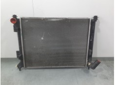 RADIADOR AGUA 253101P000 