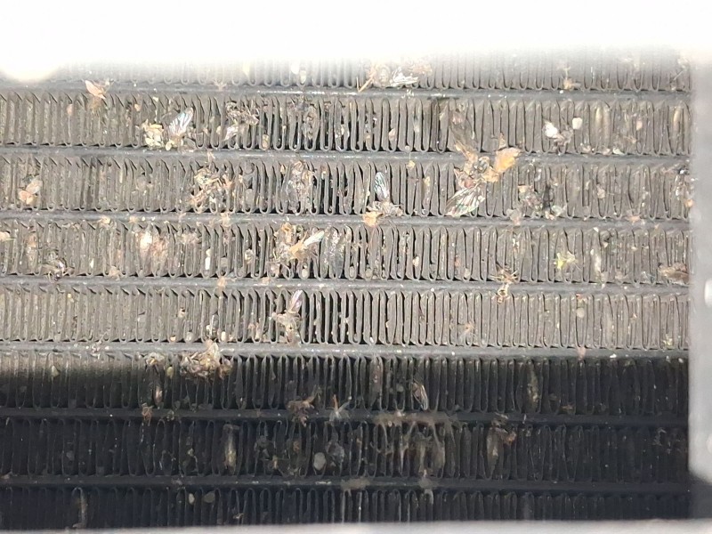 Recambio de condensador / radiador aire acondicionado para audi a8 d3 (4e2, 4e8) 4.2 tdi quattro referencia OEM IAM 4E0260403Q  