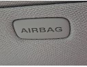 Recambio de airbag cortina delantero izquierdo para audi a8 d3 (4e2, 4e8) 4.2 tdi quattro referencia OEM IAM 4E0880741  