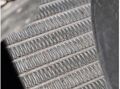 RADIADOR AGUA 214100068R 