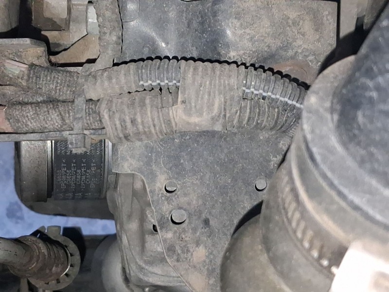 Recambio de alternador para ford ecosport 1.5 ecoblue tdci referencia OEM IAM 2402870  