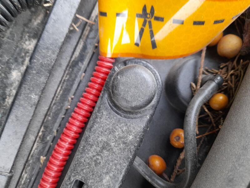 Recambio de motor limpia delantero para tesla model 3 (5yj3) ev referencia OEM IAM 185974900A  