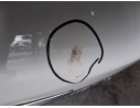 Recambio de porton trasero para toyota yaris (_p13_) 1.3 (nsp130_) referencia OEM IAM 670050D111 ROZADO 