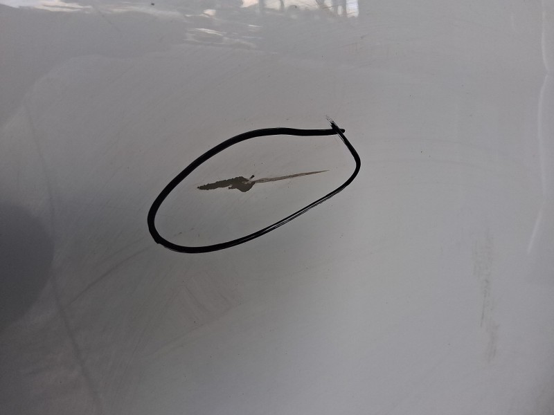 Recambio de puerta trasera derecha carga para fiat scudo furgoneta 1.5 multijet 100 (506) referencia OEM IAM  TOCADA 