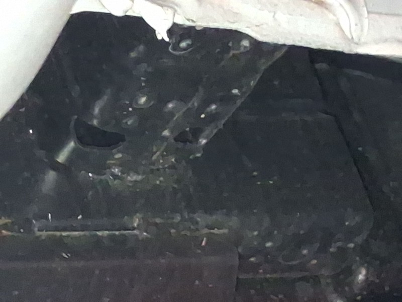 Recambio de refuerzo paragolpes trasero para nissan micra vi micra vi (k15) electric referencia OEM IAM 8509000Q0E  