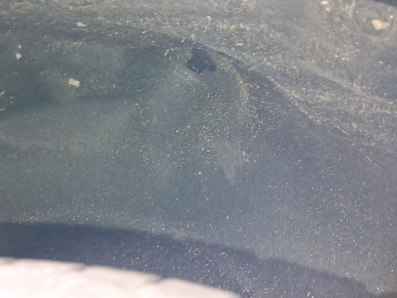 Recambio de plastico pase rueda tras. dch. para nissan micra vi micra vi (k15) electric referencia OEM IAM 7880600Q0K  
