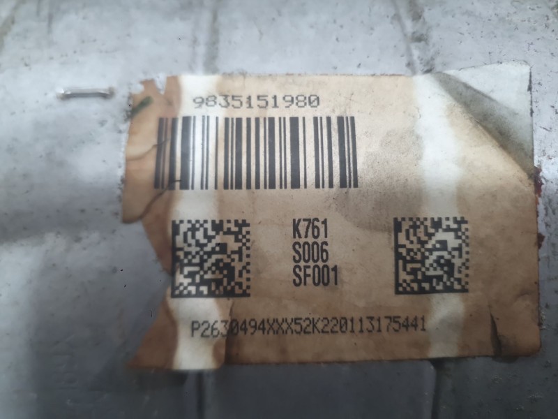 Recambio de filtro de particulas para peugeot 2008 ii (ud_, us_, uy_, uj_, ur_, uc_) 1.5 bluehdi 130 referencia OEM IAM   