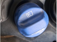DEPOSITO ADBLUE 