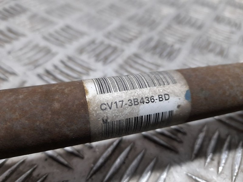 Recambio de transmision delantera derecha para ford fiesta (ccn) trend referencia OEM IAM CV173B436BD  