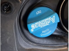 DEPOSITO ADBLUE 