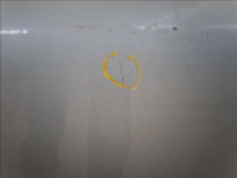 Recambio de capot para pontiac trans sport referencia OEM IAM   