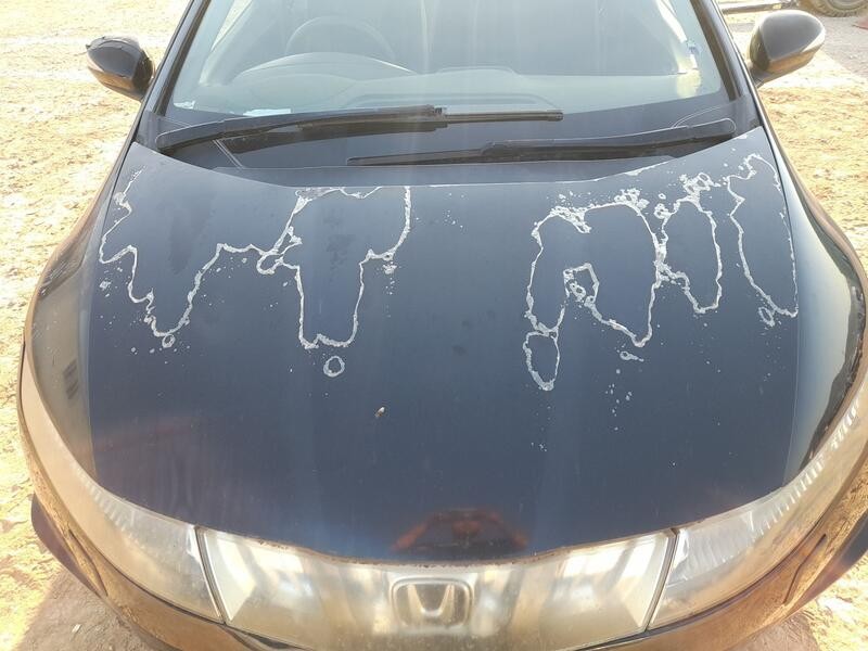 Recambio de capot para honda civic viii hatchback (fn, fk) 2.2 ctdi (fk3) referencia OEM IAM 60100SMGE00ZZ  