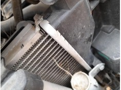 RADIADOR AGUA 1770062M00000 