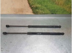 AMORTIGUADORES MALETERO / PORTON D65163620 PAREJA