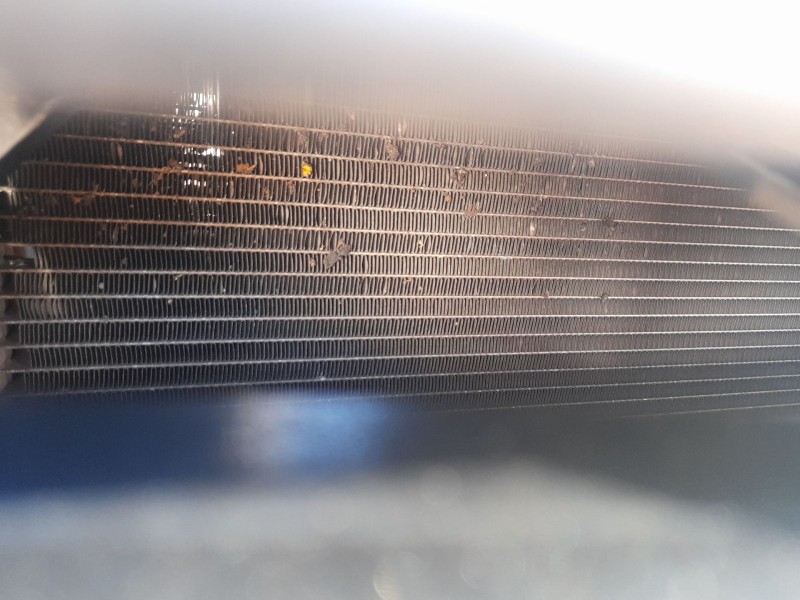 Recambio de condensador / radiador aire acondicionado para fiat bravo ii (198_) 1.9 d multijet (198axc1b) referencia OEM IAM 557