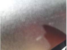 ELEVALUNAS DELANTERO IZQUIERDO 51980518 