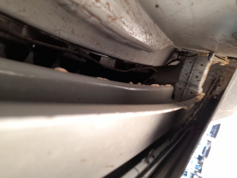 Recambio de refuerzo paragolpes trasero para skoda octavia iv (nx3, nn3, pv3) 1.5 tsi referencia OEM IAM 5E3807305D  