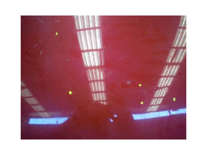 Recambio de techo para peugeot 307 cc (s2) básico referencia OEM IAM  1000002149102 