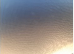 ELEVALUNAS TRASERO IZQUIERDO 9827880880 