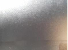 ELEVALUNAS TRASERO DERECHO 9829045580 