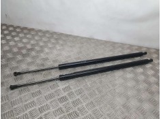 AMORTIGUADORES MALETERO / PORTON 3LD98 