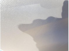 ELEVALUNAS DELANTERO IZQUIERDO 9829043680 