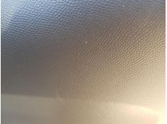 ELEVALUNAS TRASERO DERECHO 9829045580 