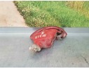 Recambio de faro antiniebla izquierdo para renault clio iii authentique referencia OEM IAM   