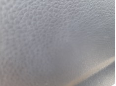 ELEVALUNAS TRASERO IZQUIERDO 10789614 