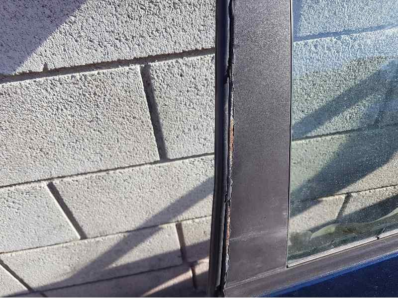 Recambio de puerta trasera izquierda para nissan primera berlina (p12) acenta referencia OEM IAM   TOCADA