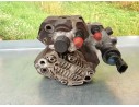 Recambio de bomba alta presion para renault scenic ii 1.9 dci diesel referencia OEM IAM SIN REF.  SIN REF.