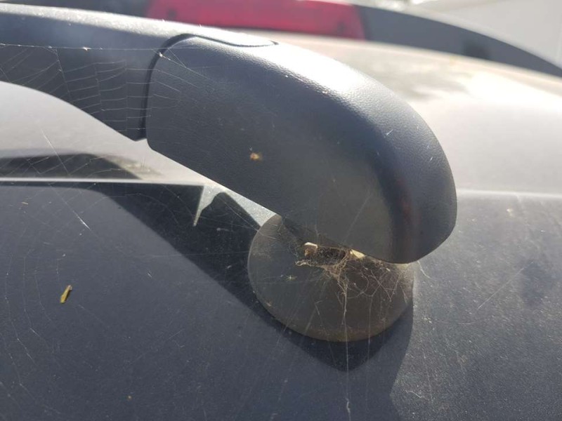 Recambio de motor limpia trasero para dodge journey se referencia OEM IAM 5178201AC 2596001322 2596001322