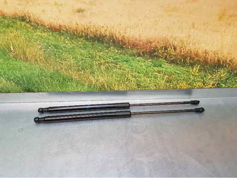 Recambio de amortiguadores maletero / porton para citroën c1 elle referencia OEM IAM 689500H040  PAREJA
